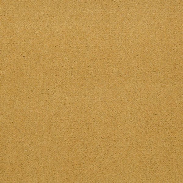 Philadelphia Main St BAYTOWNE III 36 - 00222 TUSCAN SUN