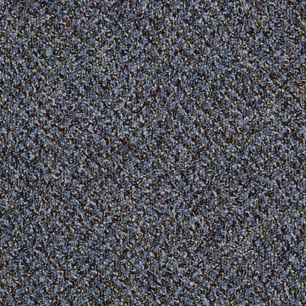 PhiladelphiaContract CHANGE IN ATTITUDE BROADLOOM - 00415 NO WORRIES