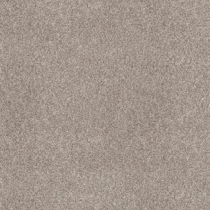 Property Solutions COMMANDING TWEED - 00105 DAYTONA SAND