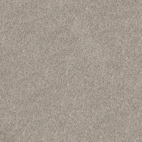 Property Solutions COMMANDING TWEED - 00115 DAWN BEIGE