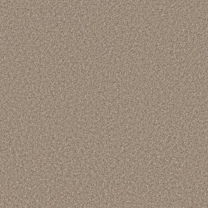 Property Solutions COMMANDING SOLID - 00111 BREEZE
