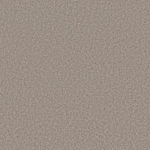 Property Solutions COMMANDING SOLID - 00112 BEECH