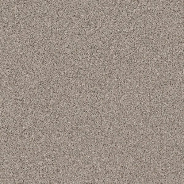 Property Solutions COMMANDING SOLID - 00112 BEECH