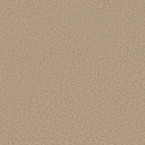 Property Solutions COMMANDING SOLID - 00210 DESERT SAND