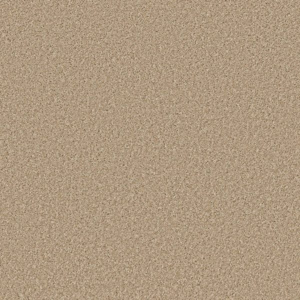 Property Solutions COMMANDING SOLID - 00210 DESERT SAND
