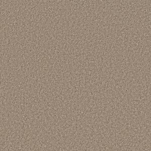 Property Solutions COMMANDING SOLID - 00732 MORNING LATTE