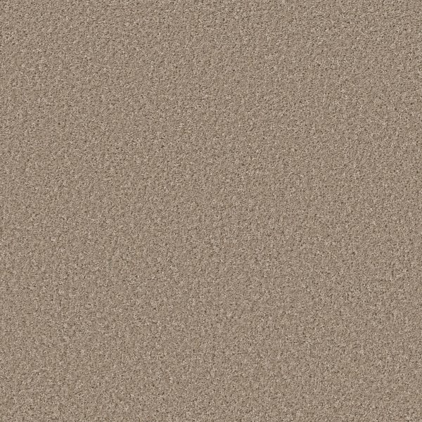 Property Solutions COMMANDING SOLID - 00732 MORNING LATTE