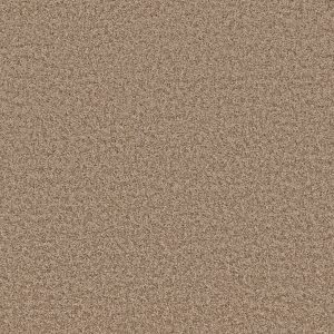 Property Solutions COMMANDING SOLID - 00731 CAPPUCCINO