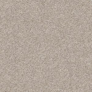 Property Solutions COMMANDING TONAL - 00100 CHAMPAGNE TOAST