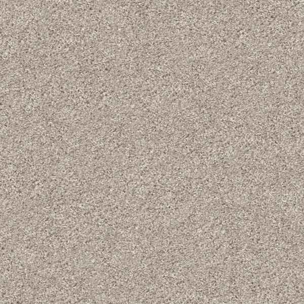Property Solutions COMMANDING TONAL - 00100 CHAMPAGNE TOAST