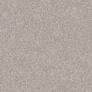 Property Solutions COMMANDING TONAL - 00101 BALTIC STONE