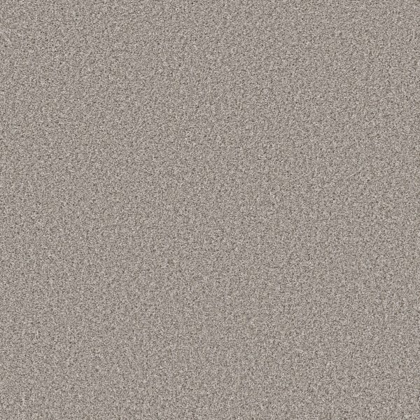 Property Solutions COMMANDING TONAL - 00122 ORNAMENTAL GATE