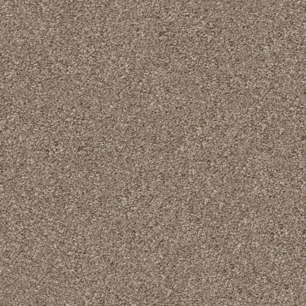Property Solutions COMMANDING TONAL - 00230 BEACHCOMBER