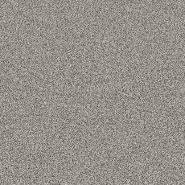 Property Solutions COMMANDING TONAL - 00520 DOLPHIN