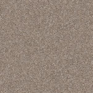 Property Solutions COMMANDING TONAL - 00700 BISCOTTI