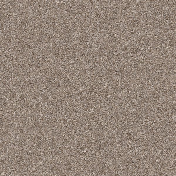 Property Solutions COMMANDING TONAL - 00700 BISCOTTI