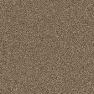 Property Solutions COMMANDING TONAL - 00710 RODEO