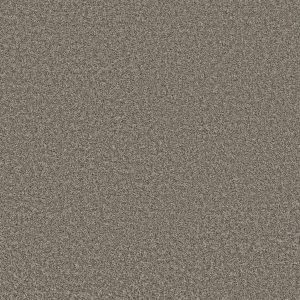 Property Solutions COMMANDING TONAL - 00720 BARELY THERE