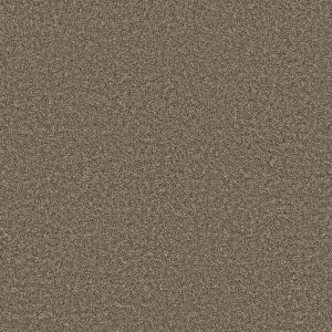 Property Solutions COMMANDING TONAL - 00721 ROASTED COFFEE