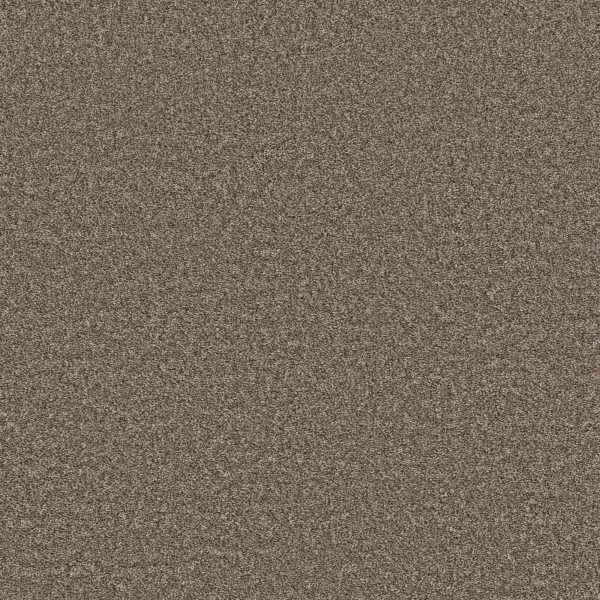 Property Solutions COMMANDING TONAL - 00721 ROASTED COFFEE