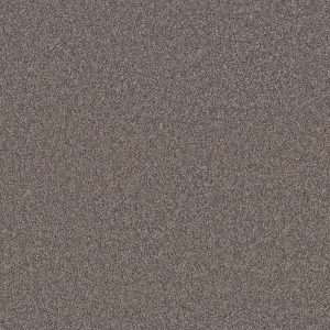 Property Solutions COMMANDING TONAL II - 00521 HAMMERHEAD