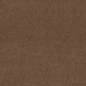 Shaw Floors Value MISSION STATEMENT II 12 - 00791 OWL