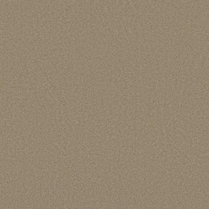 Shaw Floors Retail SANDY HOLLOW I 12' - 00109 SWEET CREAM
