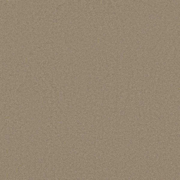 Shaw Floors Retail SANDY HOLLOW I 12' - 00109 SWEET CREAM