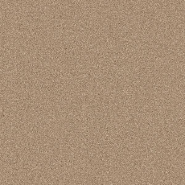 Shaw Floors Retail SANDY HOLLOW I 12' - 00110 STUCCO