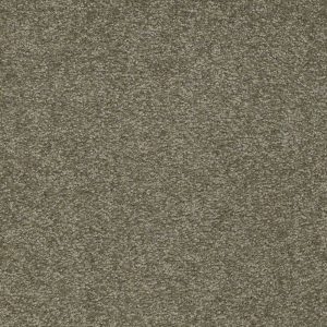 Shaw Floors Retail SANDY HOLLOW I 12' - 00305 ALPINE FERN