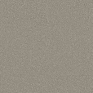 Shaw Floors Retail SANDY HOLLOW I 12' - 00500 SILVER CHARM