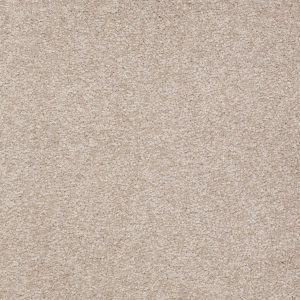 Shaw Floors Retail SANDY HOLLOW I 15' - 00105 SOFT SHADOW