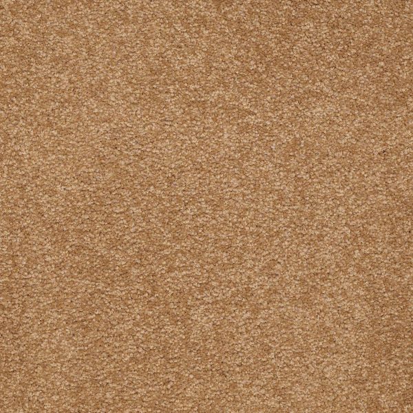 Shaw Floors Retail SANDY HOLLOW I 15' - 00702 PEANUT BRITTLE