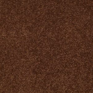Shaw Floors Retail SANDY HOLLOW I 15' - 00707 TORTOISE SHELL