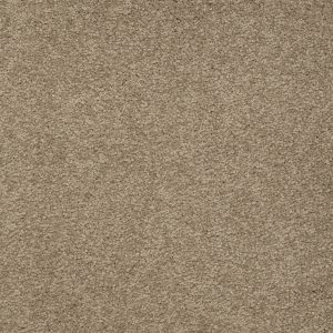 Shaw Floors Retail SANDY HOLLOW II 12' - 00105 SOFT SHADOW