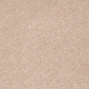 Shaw Floors Retail SANDY HOLLOW II 12' - 00110 STUCCO