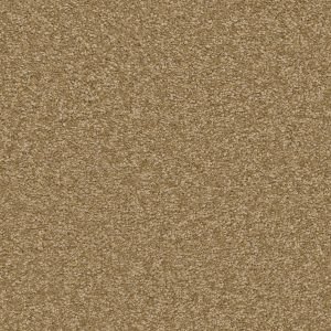 Shaw Floors Retail SANDY HOLLOW II 12' - 00700 MUFFIN