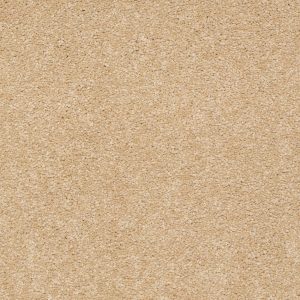 Shaw Floors Retail SANDY HOLLOW II 15' - 00202 CORNFIELD