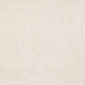 Shaw Floors Retail SANDY HOLLOW III 12' - 00101 MUSHROOM