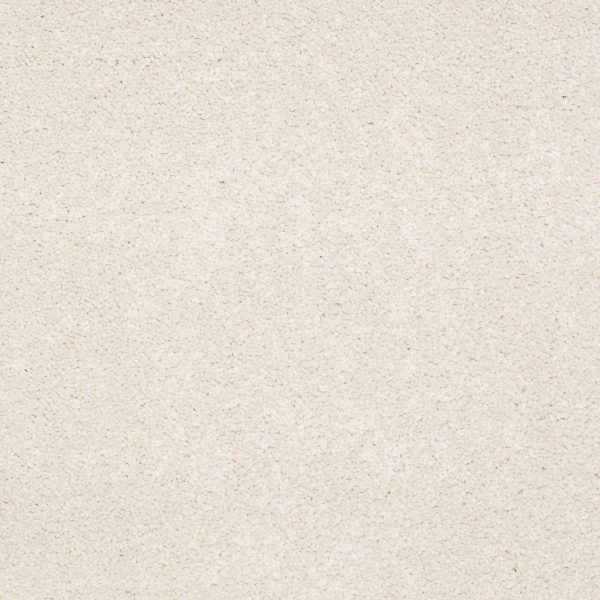 Shaw Floors Retail SANDY HOLLOW III 12' - 00101 MUSHROOM