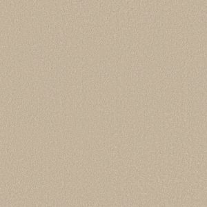 Shaw Floors Retail SANDY HOLLOW III 12' - 00102 PUDDING