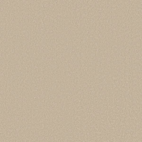Shaw Floors Retail SANDY HOLLOW III 12' - 00102 PUDDING