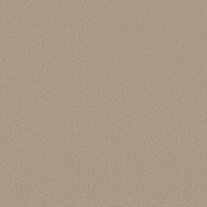 Shaw Floors Retail SANDY HOLLOW III 12' - 00104 OATMEAL