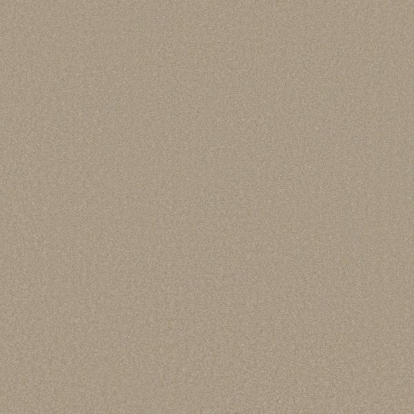 Shaw Floors Retail SANDY HOLLOW III 12' - 00104 OATMEAL