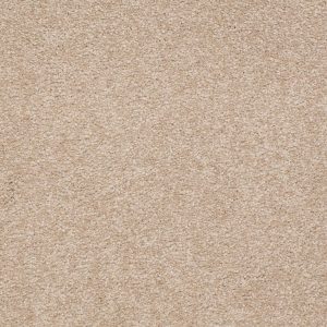 Shaw Floors Retail SANDY HOLLOW III 12' - 00108 ADOBE