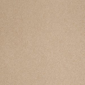 Shaw Floors Retail SANDY HOLLOW III 12' - 00110 STUCCO