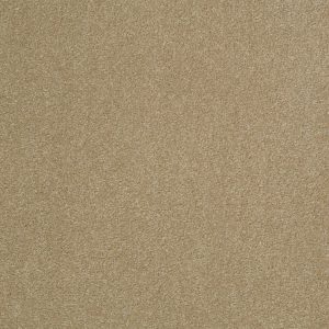 Shaw Floors Retail SANDY HOLLOW III 12' - 00205 SAHARA