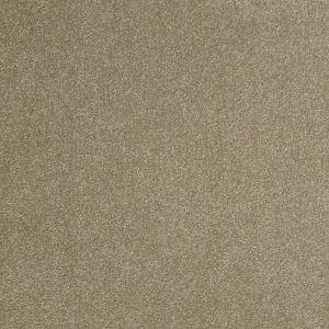 Shaw Floors Retail SANDY HOLLOW III 12' - 00306 CHINCHILLA