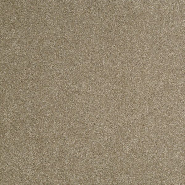 Shaw Floors Retail SANDY HOLLOW III 12' - 00306 CHINCHILLA