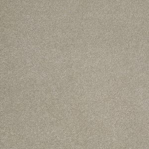 Shaw Floors Retail SANDY HOLLOW III 12' - 00501 LONDON FOG